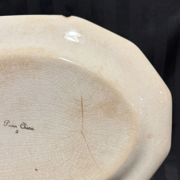 Vintage China Penn Parrot Serving Platter - Picture 7 of 16